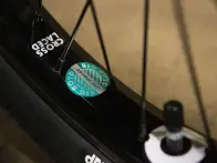 Sunday Bikes "Darkwave Authentic Raiford" 2027 BMX Bike - Matte Pine Green - Freecoaster - LHD
