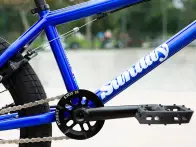 Sunday Bikes "Soundwave Special RHD Gary Young" 2020 BMX Bike - Candy Blue - Freecoaster - RHD