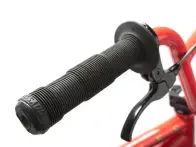 Sunday "EX-Young" 2012 BMX Rad