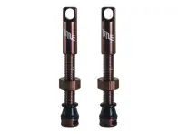 Title MTB "Tubeless" Valve