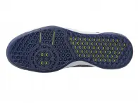 Vans "Skate Rowan 2" Schuhe - Black/Purple