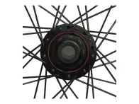 Pride Racing "Gravity Gloss Disc - Fusion 20/15mm" BMX Race Complete Wheels - 24 Inch / Carbon / Di…