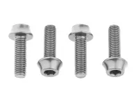 Wolf Tooth Aluminium Flaschenhalterschrauben (4 Stück)
