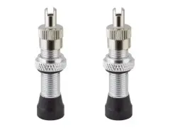 Alienation "TCS" Tubeless Valves - 32mm