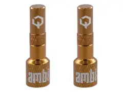 Ambit "Realm" Tubeless Ventil Adapter Ambit "Realm" Tubeless Ventil Adapter