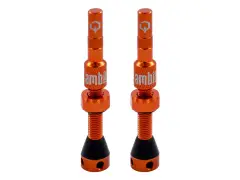 Ambit "Realm" Tubeless Ventile Ambit "Realm" Tubeless Ventile