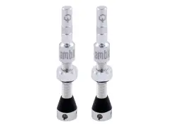 Ambit "Realm" Tubeless Valves Ambit "Realm" Tubeless Valves