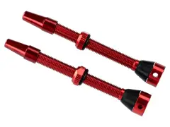 Brave Tubeless Ventile - 60mm