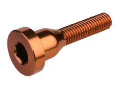 Burgtec MTB Top Cap Bolt