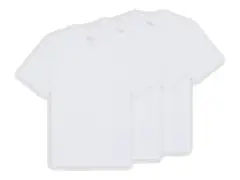 Dickies "3 Pack" T-Shirt - White