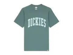 Dickies "Aitkin" T-Shirt - Lincoln Green/Surf Blue