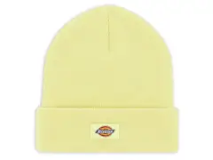 Dickies "Gibsland" Beanie - Pale Green