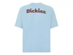 Dickies "Slayden Garment Dye" T-Shirt - Glacier Lake