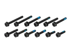 Magura Flat Mount Bolt Set Magura Flat Mount Bolt Set