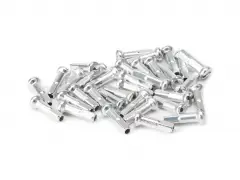 Salt "PRO Alloy" Spoke Nipples