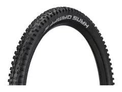 Schwalbe "Hans Dampf Evolution ADDIX Soft Super Gravity" MTB Reifen - 29 Zoll (faltbar) Schwalbe "Hans Dampf Evolution ADDIX Soft Super Gravity" MTB Reifen - 29 Zoll (faltbar)