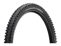 Schwalbe "Tacky Chan Evolution ADDIX Ultra Soft Super Gravity" MTB Tire - 29 Inch (foldable) Schwalbe "Tacky Chan Evolution ADDIX Ultra Soft Super Gravity" MTB Tire - 29 Inch (foldable)