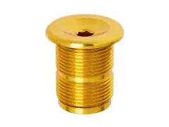 S&M Bikes "M24" Gabelschraube