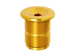 S&M Bikes "M24" Gabelschraube