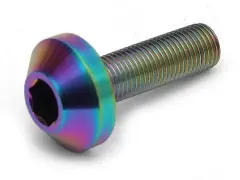 TLC Bikes "Metric Titanium 10mm (3/8")  Female" Hub Bolt