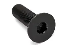 TLC Bikes "Solid Titanium" Kurbelschraube