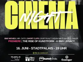 Flat Du Palais - Kino Nacht am 16.06.2026
