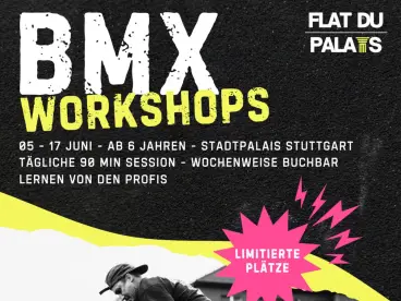 Flat Du Palais - BMX Workshops