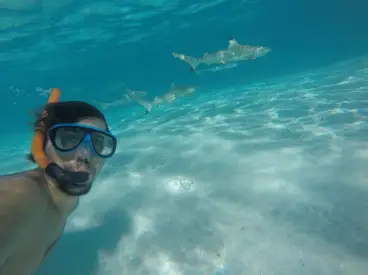 Jonas Bader - Around the world trip - Interview