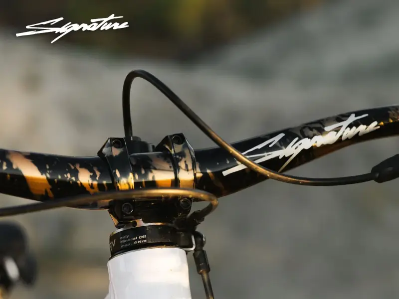 Signature Alloy Lenker und Vorbau in Acid Wash Gold am Mountainbike