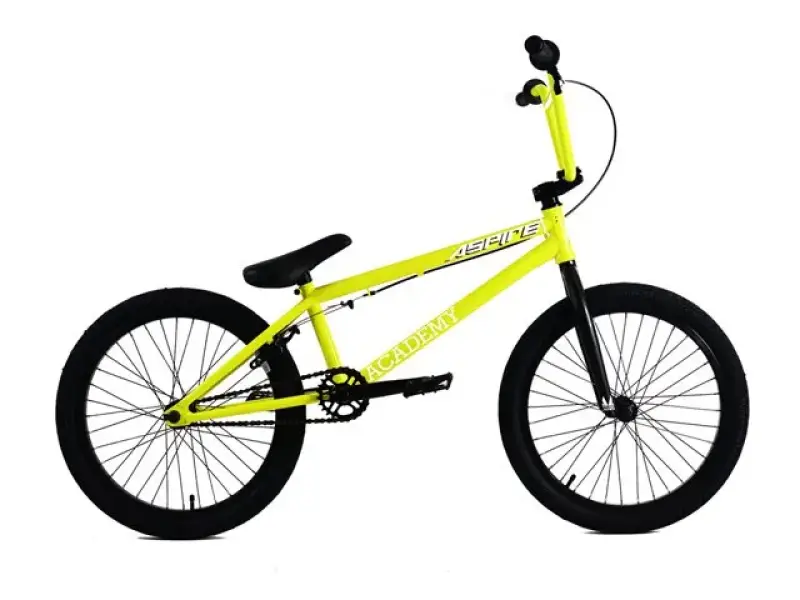 Academy BMX "Aspire" 2015 BMX Rad