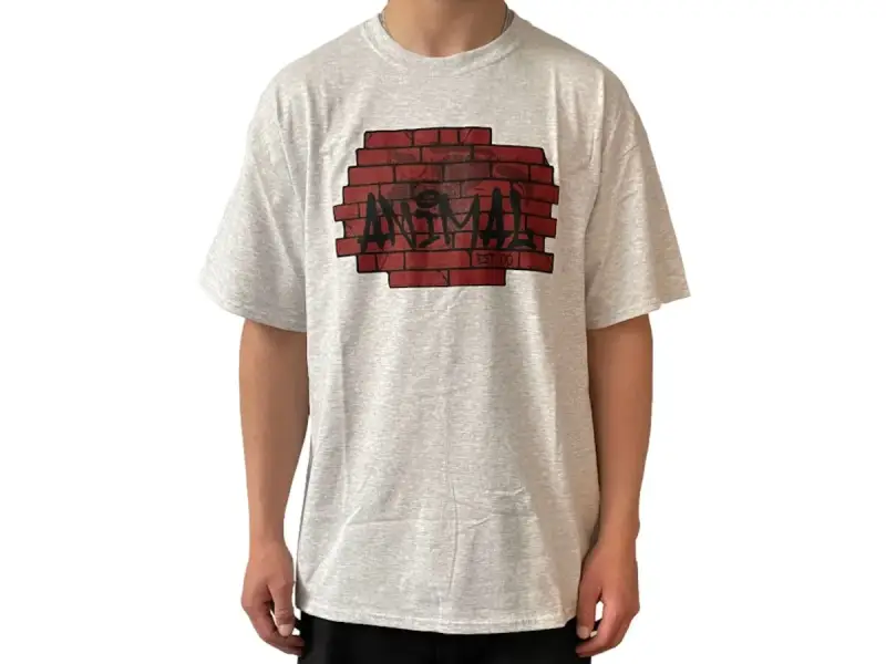 Animal Bikes "Spots" T-Shirt - Grey