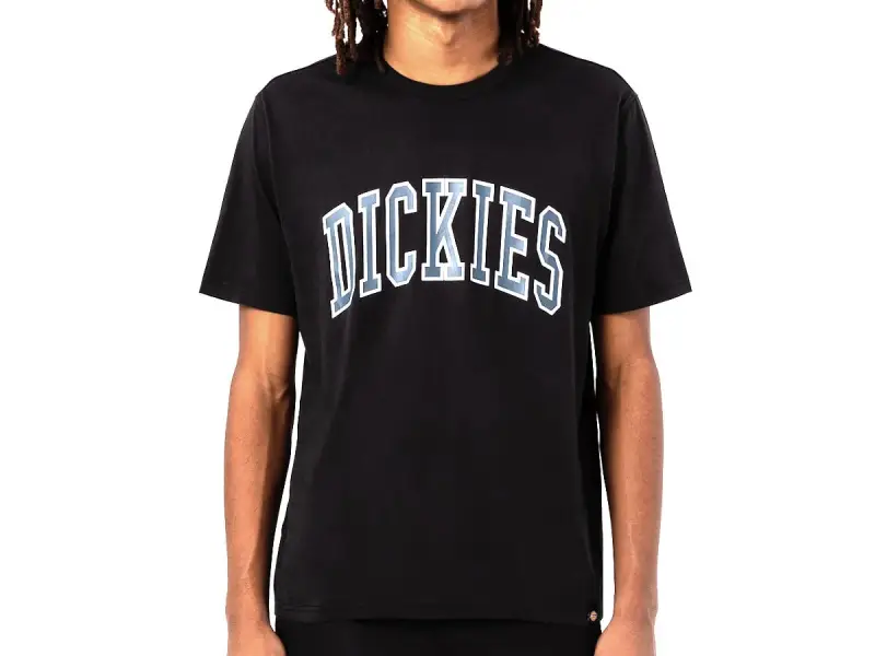 Dickies "Aitkin" T-Shirt - Black/Grey