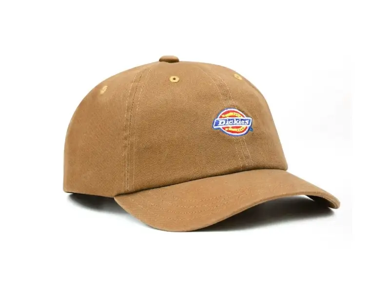Dickies "Hardwick Snapback" Kappe - Brown Duck