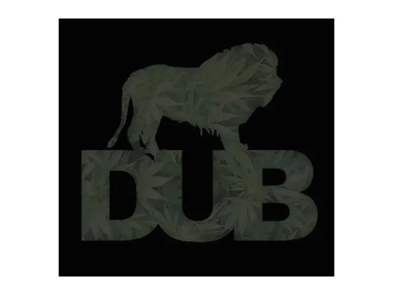 DUB BMX "Homegrown" DVD