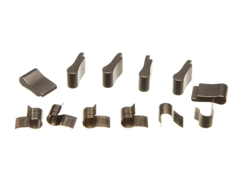 eclat "Cortex Evo CS" Feder/Sperrklinken Set