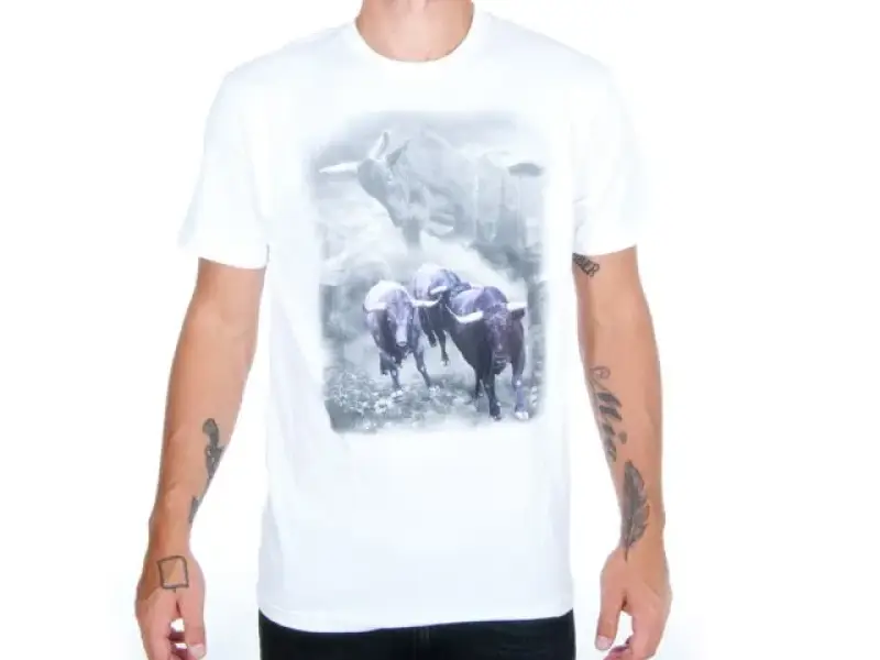 Etnies "Wild Out Buffalo" T-Shirt