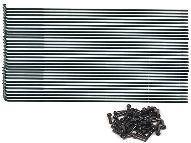 Federal Bikes "Stance Butted" Speichen