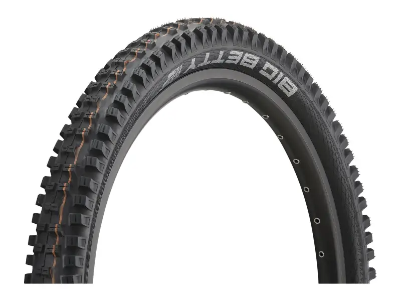 Schwalbe "Big Betty Evolution ADDIX Soft Super Ground" MTB Tire - 24 Inch (foldable)