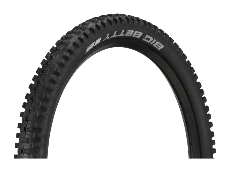 Schwalbe "Big Betty Performance ADDIX BikePark" MTB Tire - 29 Inch