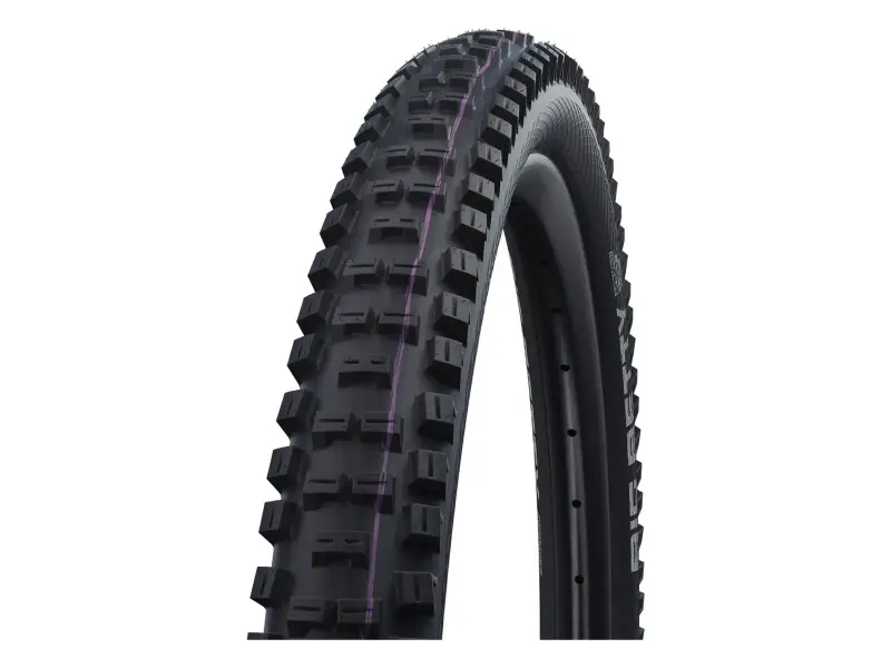 Schwalbe "Big Betty Super Ground" MTB Tire - 20 Inch (foldable)
