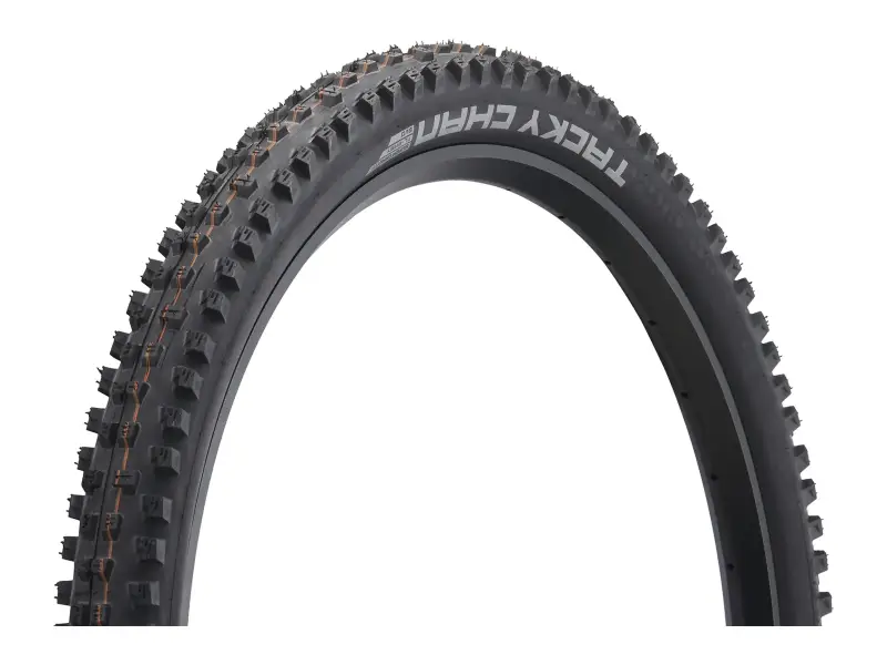 Schwalbe "Tacky Chan Evolution ADDIX Soft Super Gravity" MTB Tire - 29 Inch (foldable)