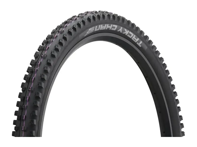Schwalbe "Tacky Chan Evolution ADDIX Ultra Soft Super Downhill" MTB Tire - 29 Inch (foldable)