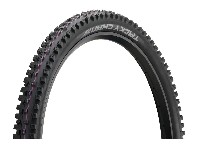 Schwalbe "Tacky Chan Evolution ADDIX Ultra Soft Super Gravity" MTB Tire - 29 Inch (foldable)