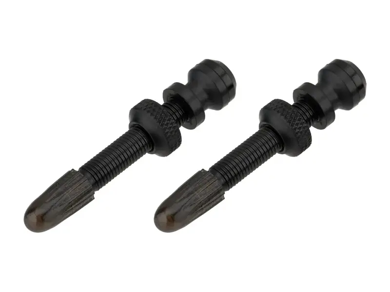 Schwalbe Tubeless Valves SV (pair)