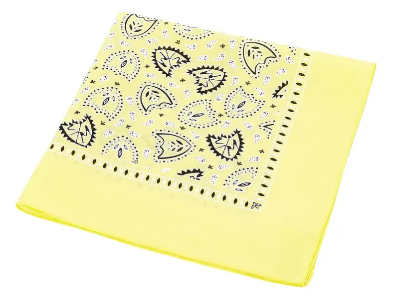 S&M Bikes "Bandana" Rag