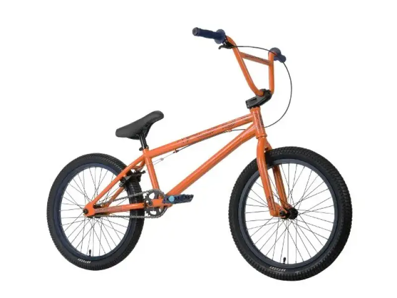 Sunday Bikes "Gary Young EX" 2013 BMX Bike