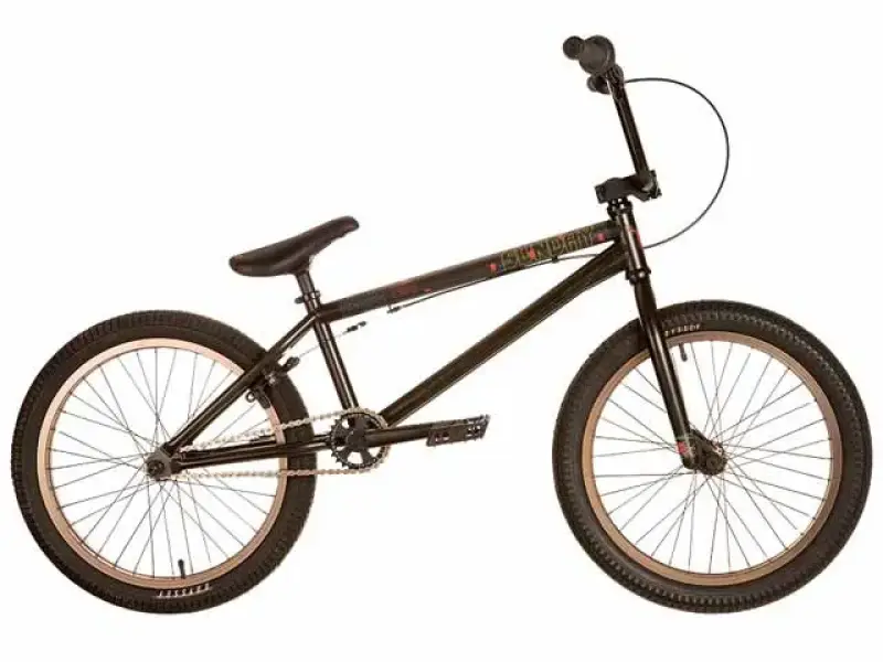 Sunday "Gary Young Pro" 2011 BMX Rad