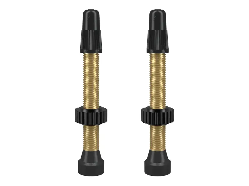 WTB "TCS Standard" Tubeless Valves - 46mm
