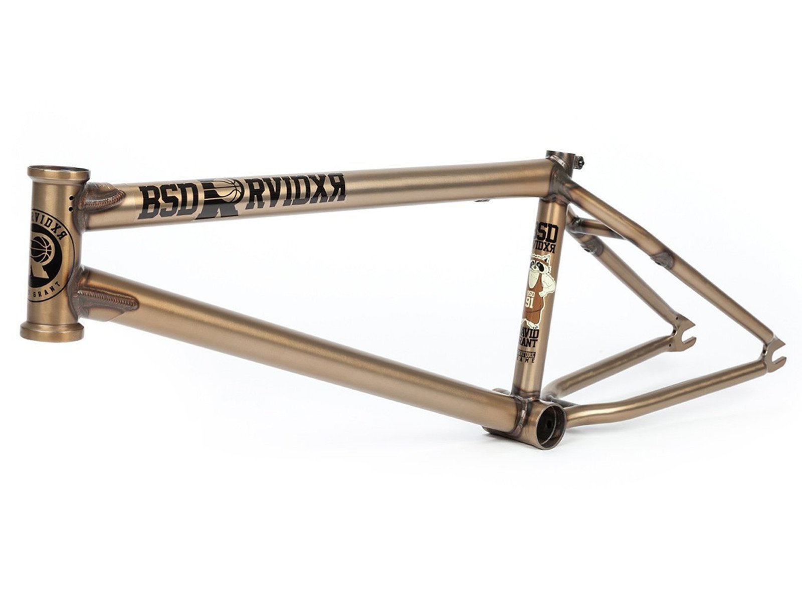 BSD BMX Sticker BSD BMX Frame 2019 Raider