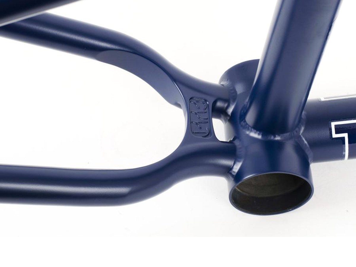 cult devotion anthony panza